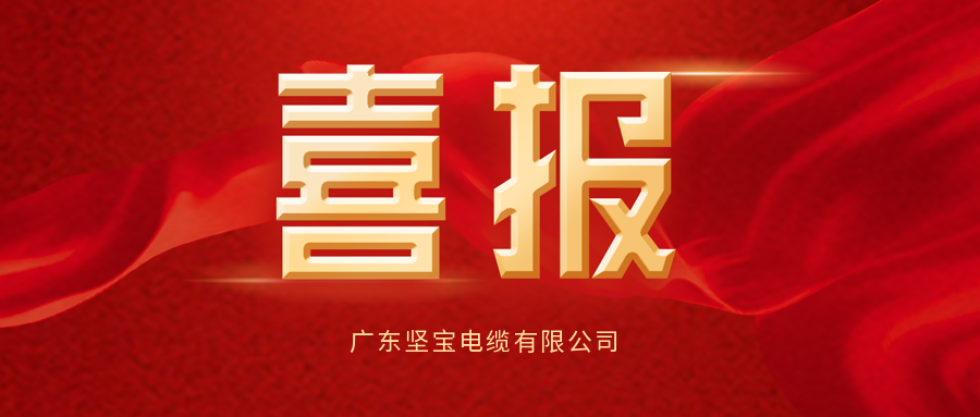 喜報丨熱烈祝賀 “堅寶電纜”在國家經(jīng)濟視窗“中宏網(wǎng)”建檔！！