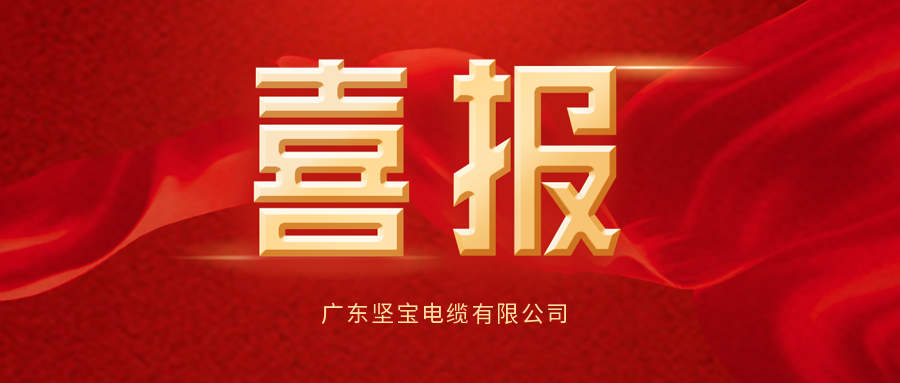 喜報丨堅寶被評為清潔生產(chǎn)企業(yè)